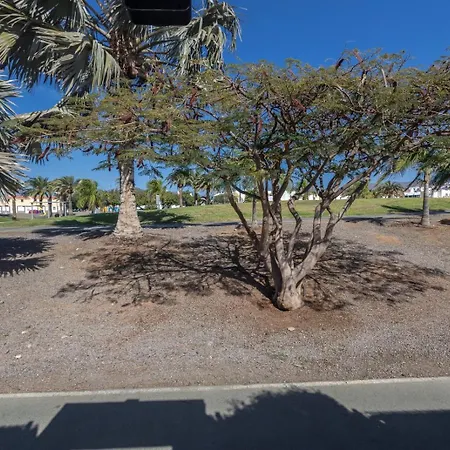 Lightbooking Palomas Playa Del Ingles * Maspalomas (Gran Canaria)